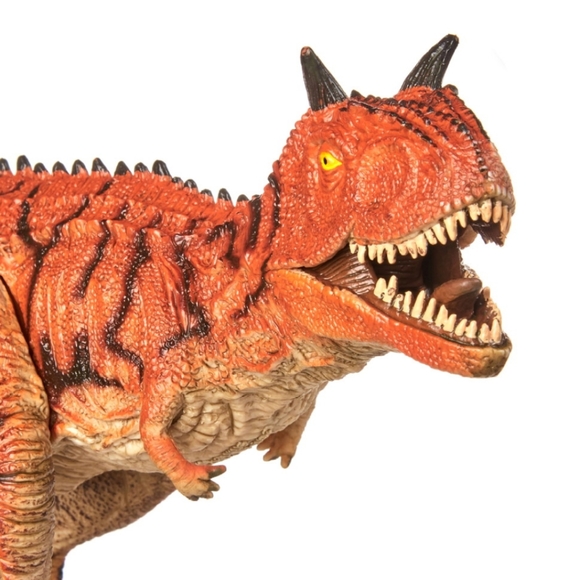 ADVENTURE FORCE Realistic Carnotaurus Dinosaur toy - Picture 4 of 7